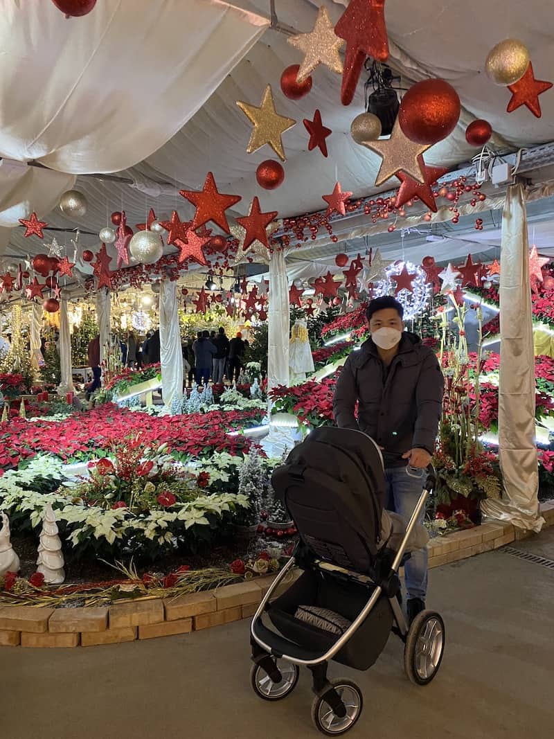 Mann mit Kinderwagen vor Weihnachtlicher Dekoration im geschmückten Greenhouse der Blumengärten Girschstetten