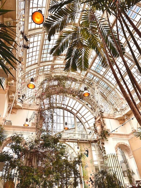 Das Palmenhaus von Innen. Palmen und gläserne Decke.