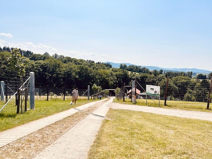 Teil des Rundganges vom Wildpark Hochrieß. Panoramablick.