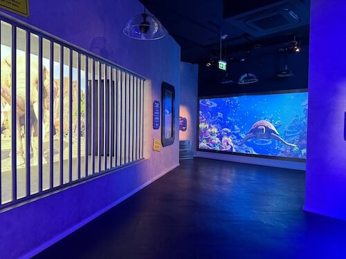 Raum mit Gitter und Bildschirmen und Projektionen zur Ausstellung Immersium Planet der Tiere.
